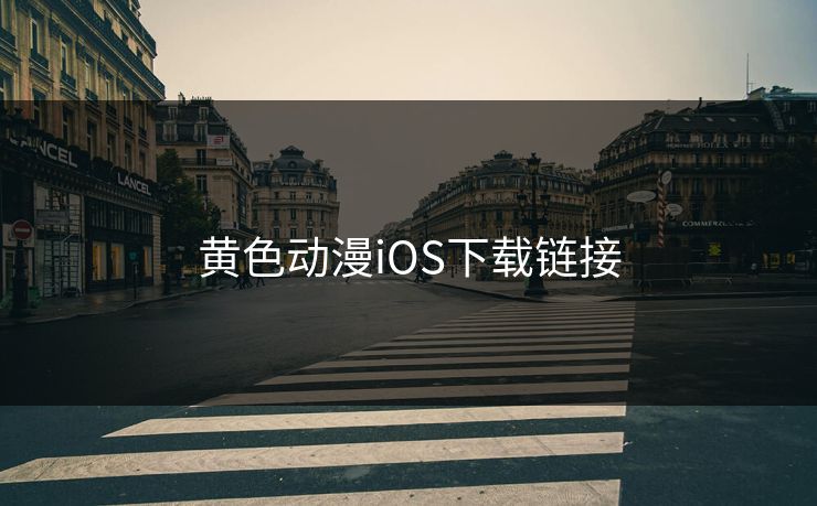 黄色动漫iOS下载链接
