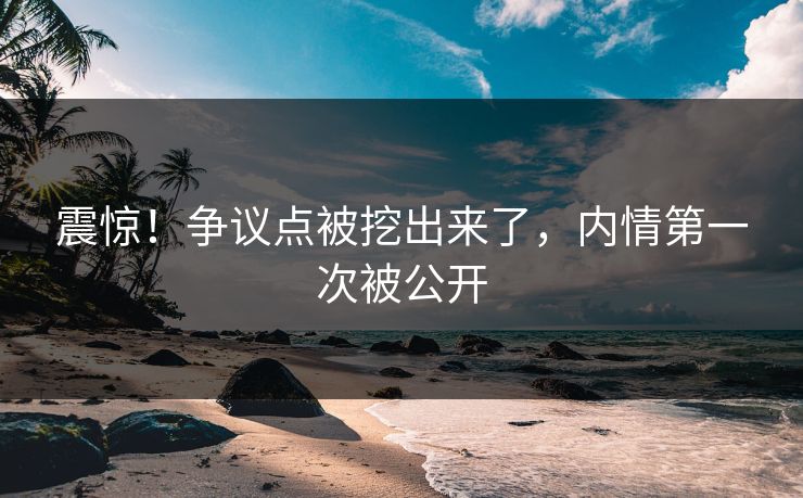 震惊！争议点被挖出来了，内情第一次被公开