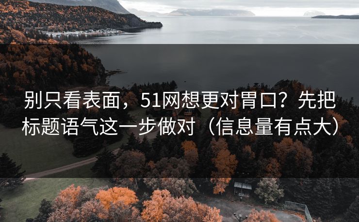 别只看表面，51网想更对胃口？先把标题语气这一步做对（信息量有点大）
