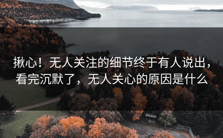 揪心！无人关注的细节终于有人说出，看完沉默了，无人关心的原因是什么