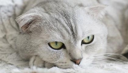 荒唐！尘封资料终于有人说出，真相难以接受，尘封是什么东西