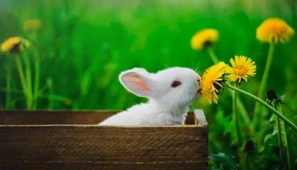 离谱！深夜突发彻底反转了，细节令人发麻，深夜反应