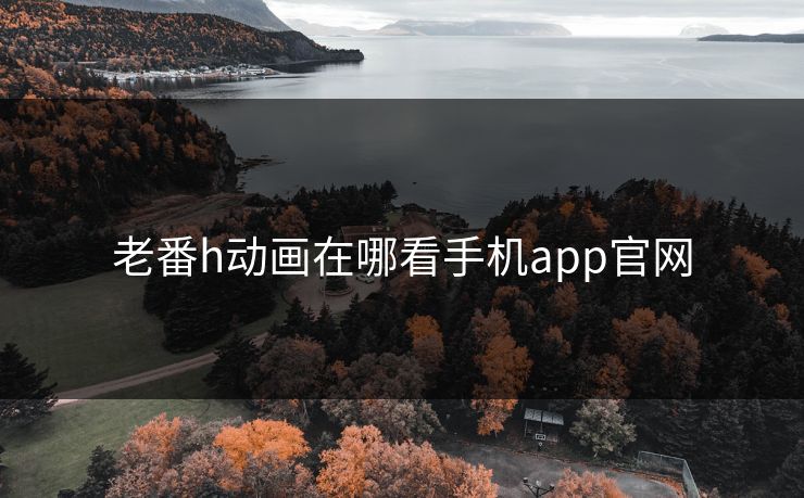 老番h动画在哪看手机app官网