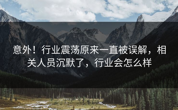 意外！行业震荡原来一直被误解，相关人员沉默了，行业会怎么样